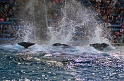 Kids_SeaWorldSA-2013 (199)